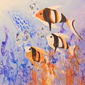 Aquarium